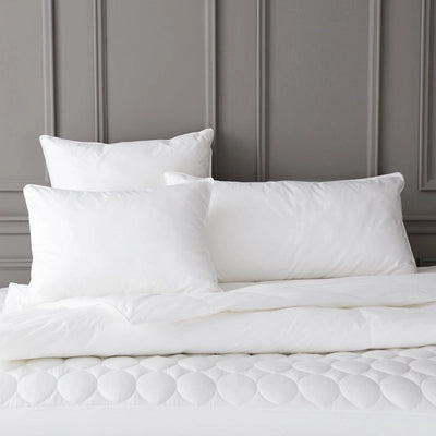 Dutch euro pillow insert best sale